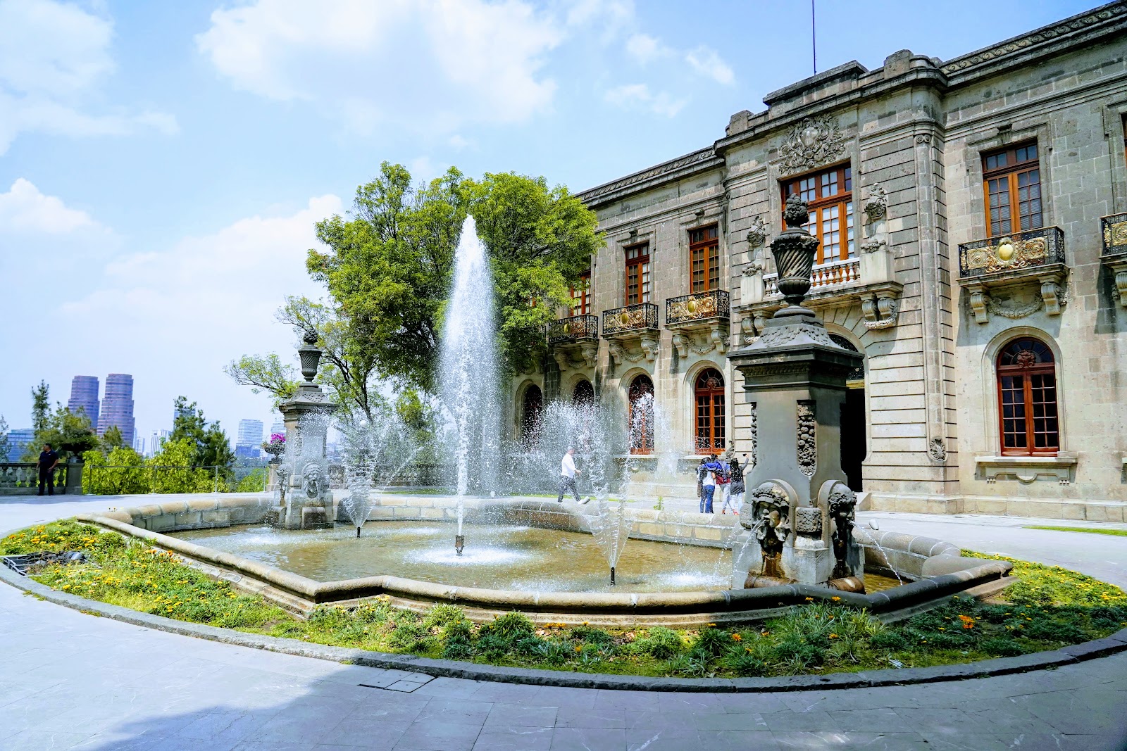 Los museos imperdibles del bosque